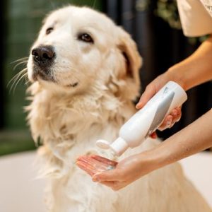 Puppy Shampoo